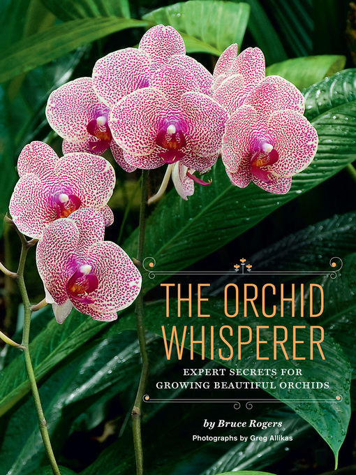 Title details for The Orchid Whisperer by Bruce Rogers - Available